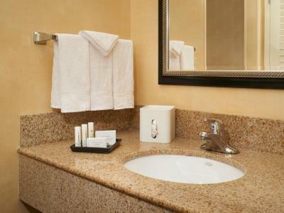Courtyard By Marriott Downtown/river North Hotel Chicago